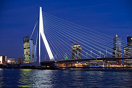 桥,地区,河,鹿特丹,荷兰南部,荷兰,欧洲