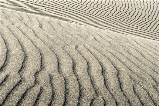 沙丘,海洋,丹麦