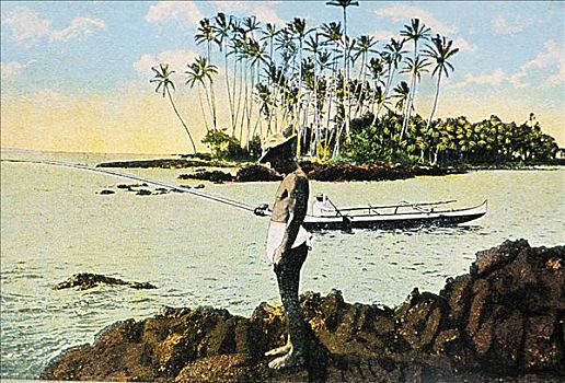 明信片,夏威夷,夏威夷大岛,椰树,岛屿,站立,男人,岩石,岸边,捕鱼