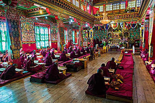 许多,僧侣,女僧侣,祈祷,室内,寺院,喇嘛寺,单独,昆布,尼泊尔,亚洲