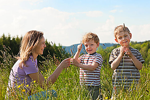 母亲,两个,小男孩,玩,草,夏日草地