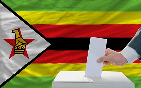 男人,投票,选举,津巴布韦,正面,旗帜