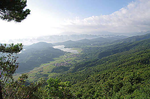 松树和山脉