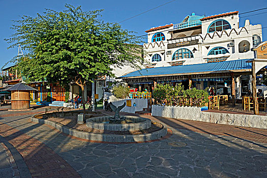 商店,餐馆,波多黎各,岛屿,加拉帕戈斯群岛,厄瓜多尔,南美