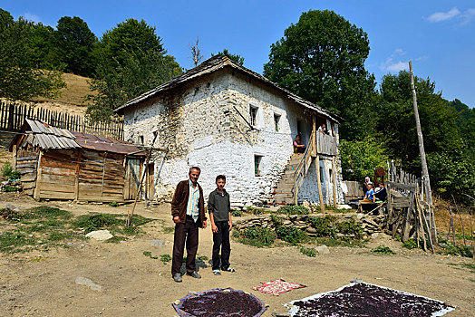 阿尔巴尼亚,家庭,正面,老,农舍,国家公园,阿尔卑斯山,欧洲