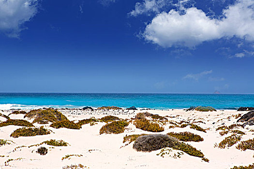 兰索罗特岛,白沙滩,加纳利群岛