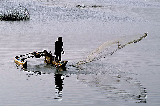 渔民,网,泻湖,斯里兰卡,七月,2005年