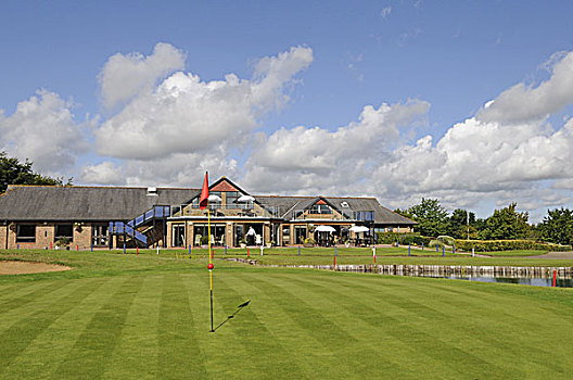 风景,绿色,高尔夫球场,高尔夫球杆,萨里,英格兰