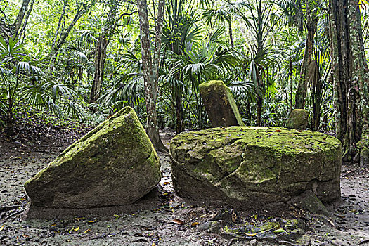蒂卡尔国家公园,危地马拉