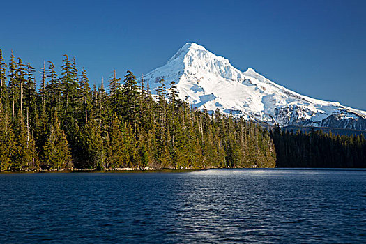 胡德山,高处,湖,瀑布山,俄勒冈,美国