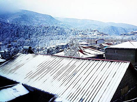 雪景