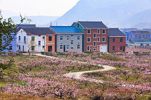 道路,村庄