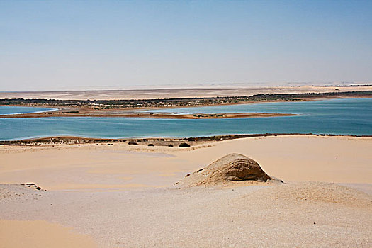 湖,旱谷,埃及