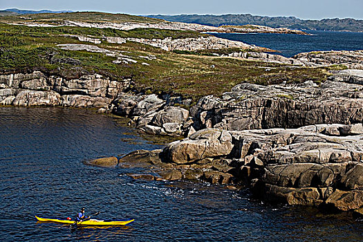 皮划艇手,南方,海岸,纽芬兰,加拿大