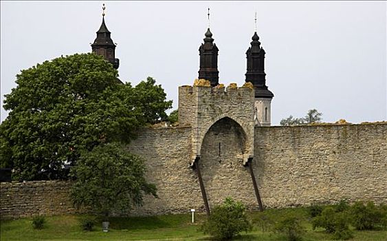 中世纪,城镇,墙壁,维斯比,哥特兰岛,瑞典