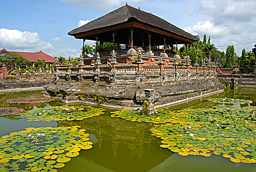 皇宫,水塘,水,百合,漂浮,亭子,大捆,宫殿,巴厘岛,印度尼西亚,东南亚,亚洲