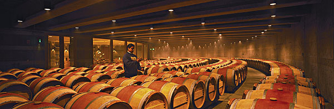 酒窖,著名,葡萄酒厂,奥克维尔,加利福尼亚