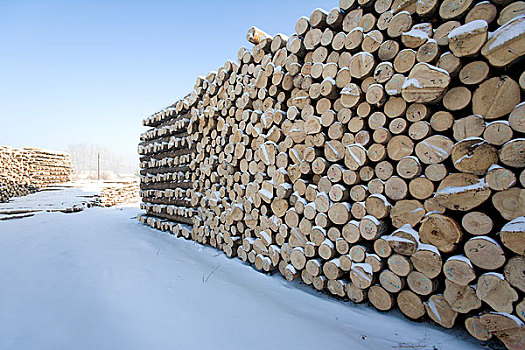 雪中木材厂
