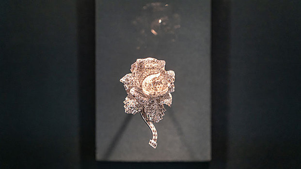 成都博物馆风华万象珍宝展卡地亚典藏卡地亚伦敦铂金钻石玫瑰胸针