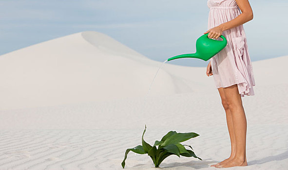 女人,浇水,植物,沙子