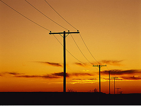 剪影,电线杆,日落,靠近,萨斯喀彻温,加拿大