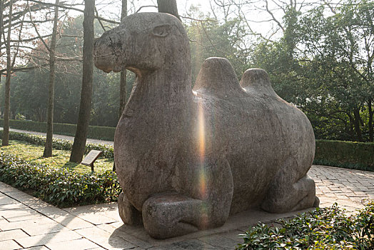南京明孝陵石象路景区石骆驼雕塑