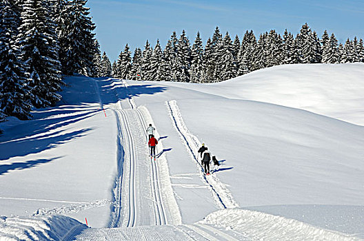 修饰,越野滑雪,小路,侏罗山,瑞士,欧洲