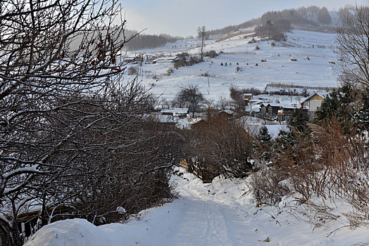 冬季吉林雪村-松岭美景如画