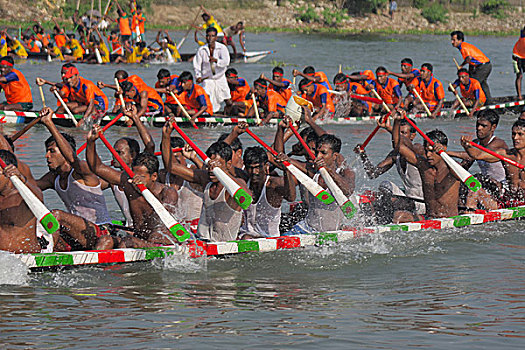 传统,赛船,河,达卡,孟加拉,十月,2008年