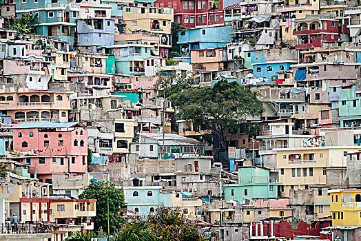彩色,房子,树,贫民窟,百叶窗,太子港,海地,中美洲