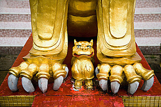 金色,狮子,监护人,入口,庙宇