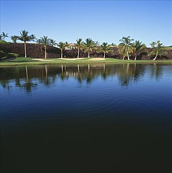 夏威夷,夏威夷大岛,瓦克拉,胜地,高尔夫球场,海滩,场地,反射,湖