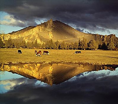 反射,山,水中,靠近,史密斯岩石州立公园,俄勒冈,美国