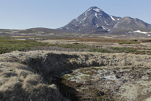 住所,苔原,火山,岛屿,海洋,鄂霍次克海,俄罗斯,远东,欧洲