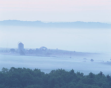 牧场,晨雾