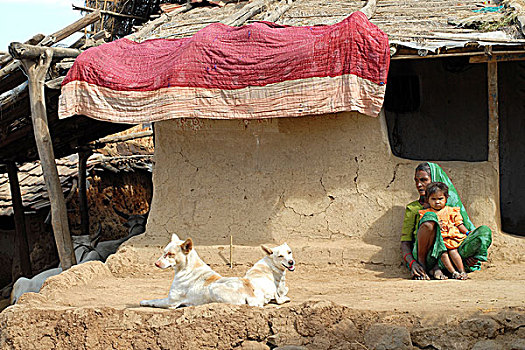 印度,女人,小,女孩,坐,乡村,靠近,马哈拉施特拉邦,正面,简单,房子,茅草屋顶,墙壁,两只,狗,牛,一月,2007年