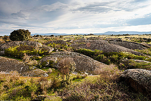 花冈岩,石头,自然遗产,埃斯特雷马杜拉,西班牙,欧洲