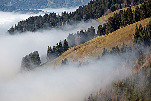雾,高处,山谷,巴特辛德朗,巴伐利亚,德国,欧洲