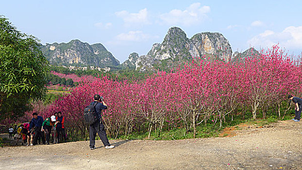 花花大世界