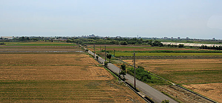 台湾农田