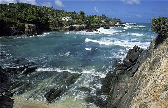 岩石,岸边,特立尼达,多巴哥岛