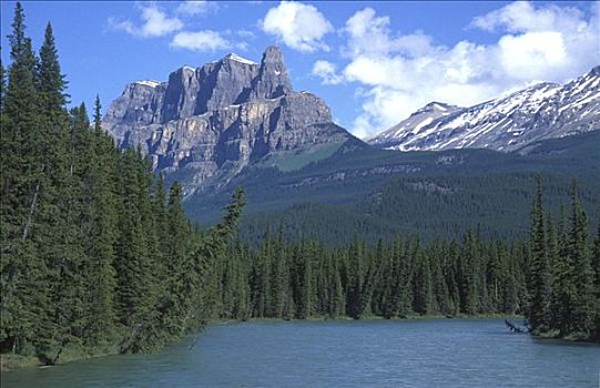 弓河,仰视,城堡山,班芙,公园,一个,著名,山,象征,罐,加拿大,艾伯塔省