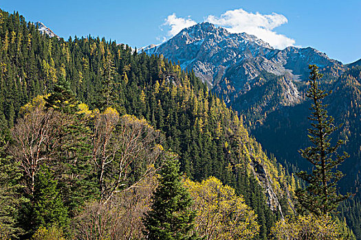 山景,国家公园,四川,中国,亚洲