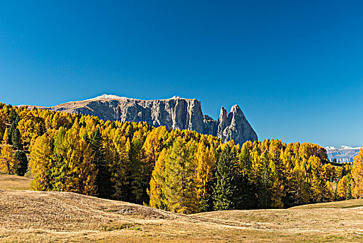 秋天,风景,山丘,白云岩,南蒂罗尔,意大利,欧洲