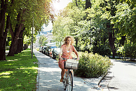 女人,骑自行车,自行车,树上,排列,街道,因斯布鲁克,奥地利,欧洲