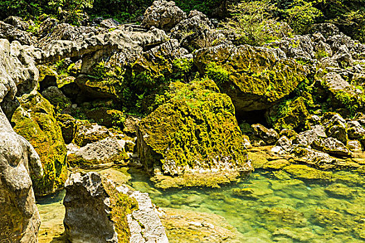 自燃山水