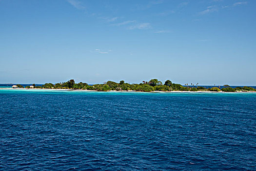 伯利兹,加勒比海,兰花,小,私人岛屿,大幅,尺寸