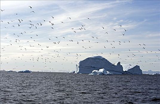 格陵兰,伊路利萨特,世界遗产,冰河,世界,巨大,冰山,海洋,正面