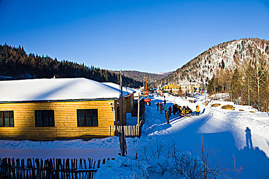 雪乡,双峰林场,村庄,风景,白天,黑龙江,牡丹江