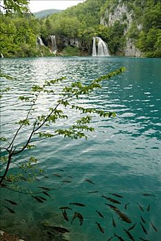 瀑布,国家公园,克罗地亚